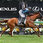 best horse to bet on melbourne cup 2020